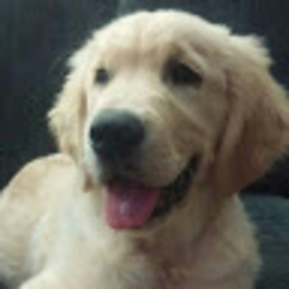 Meet your Posher, Slim - Picture 1 of 1